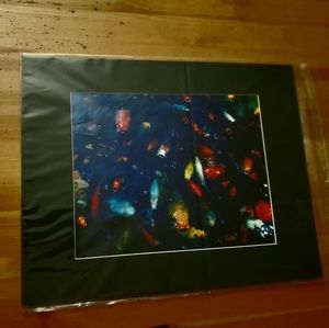 8 x12 art print colorful fish